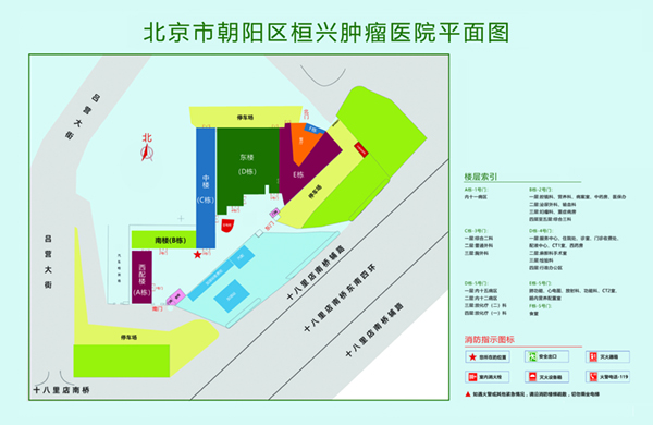 啊啊啊啊啊啊日本黄色视频北京市朝阳区桓兴肿瘤医院平面图